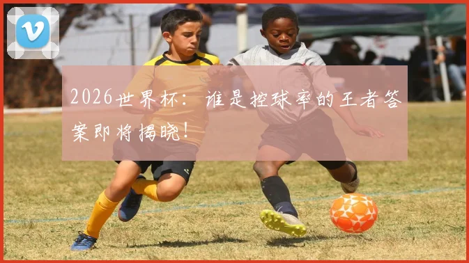2026世界杯：谁是控球率的王者答案即将揭晓！