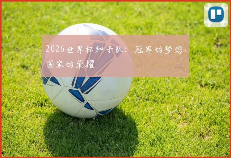 2026世界杯种子队：冠军的梦想，国家的荣耀
